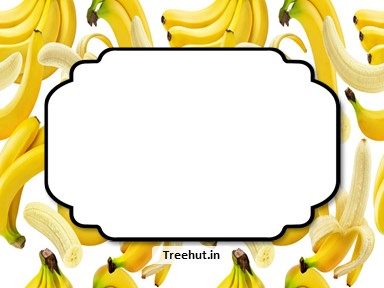 Banana Free Printable Labels, 3x4 inch Name Tag