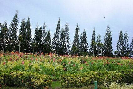 Garden-design,-Nongnooch-Tropical-garden,-Pattaya,-Thailand