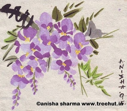 Wisteria in water colours by Anisha Sharma