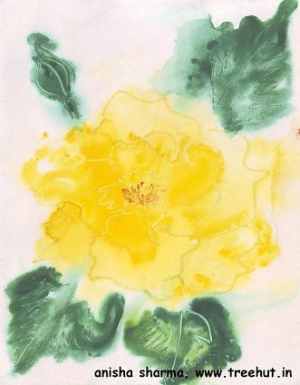 yellow rose in water colour