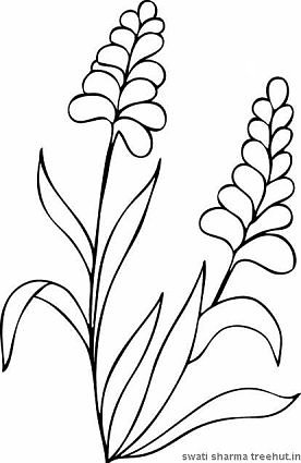 flowers printable coloring pages 