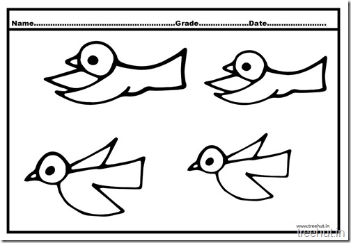 Flying Birds Coloring Pages (3)