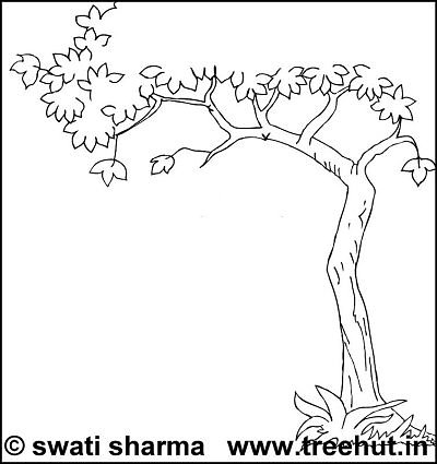 evergreen tree printable adult coloring pages