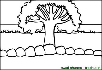 lone olive tree in field coloring page