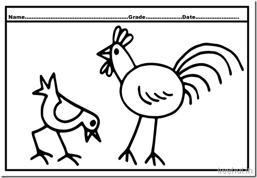 Cock and Hen Coloring Pages (1)