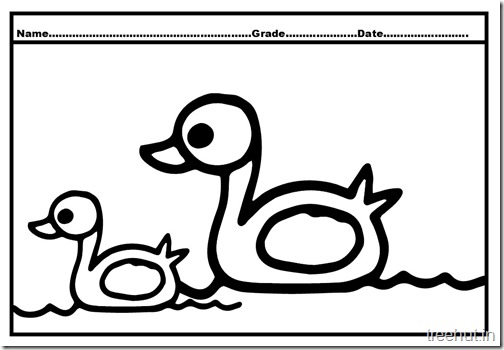 Duck Duckling Coloring Pages (3)