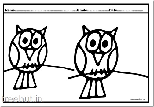 Owl, Nocturnal Birds Coloring Pages (1)