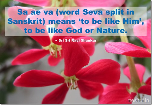 Sri Sri Ravi Shankar Quotes (3)