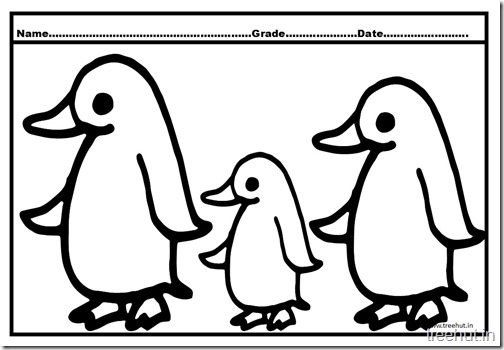 Penguin Coloring Pictures (2)