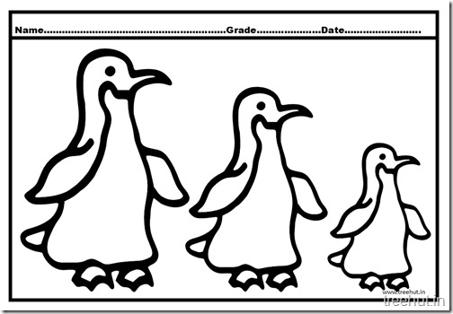 Penguin Coloring Pictures (4)
