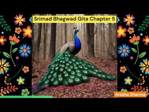 Ep 6, Srimad Bhagwad Gita Chapter 5, Sanskrit Chanting with Hindi Meaning #relaxing #bhaarat