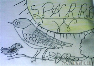 Child Art, A Sparrow