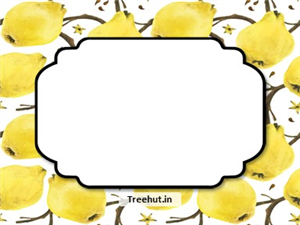 Quince Free Printable Labels, 3x4 inch Name Tag 