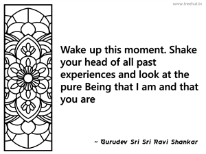 Wake up this moment. Shake your head of... Inspirational Quote by Gurudev Sri Sri Ravi Shankar
