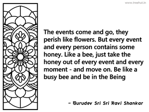 The events come and go, they perish... Inspirational Quote by Gurudev Sri Sri Ravi Shankar